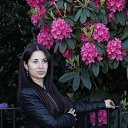 ���� �������, ������, 41 ��� - ��������� 16 ������ 2017 � ������ ���� ����������