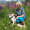 ���� �����, ��������� - ��������� 18 ���� 2017