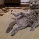 ���� �����, ���������, 45 ��� - ��������� 24 ������� 2017 � ������ ������