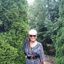 07.08.2017 �. �� ������� ���� ����������