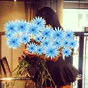 ���� ��������, ������ - ��������� 7 ���� 2017 � ������ ���� ����������