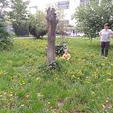 ���� ����� ������, �����, 61 ��� - ��������� 29 ������ 2017 � ������ ������ ��������