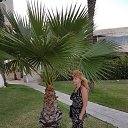 ���� �����, ����������, 59 ��� - ��������� 19 �������� 2017 � ������ ���� ����������