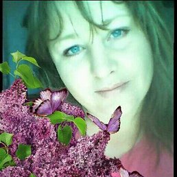 �������, ������������, 43 ����