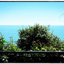  Back To Real Life, , 57  -  26  2017    