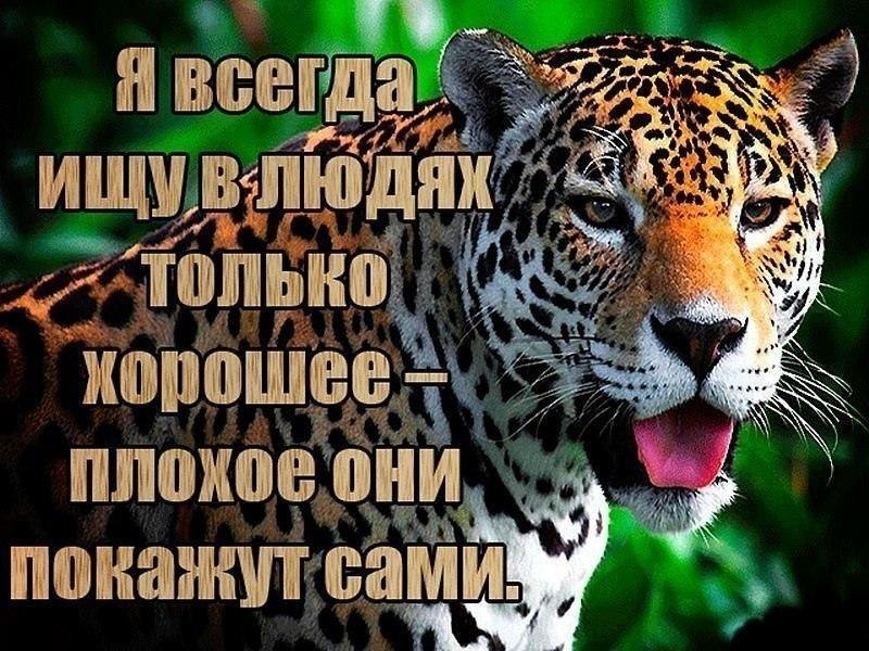 ������ �������� &copy; - 1 ������� 2017 � 16:35