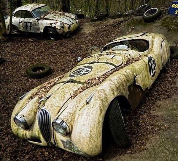    Jaguar   Porsche.