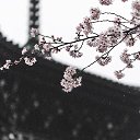 ���� Irin�, ������, 46 ��� - ��������� 26 ��� 2017 � ������ ������ ��������