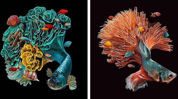 Лиза Эриксон (Lisa Ericson) — художник, иллюстратор и дизайнер, свои работы она создает, смешивая ...