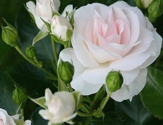  , ,             ,  ...