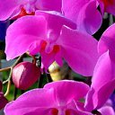  ,  -  15  2017       Ż