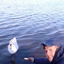 ���� �����, �����������, 37 ��� - ��������� 2 ��� 2017 � ������ ���� ����������