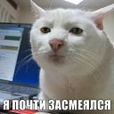 ���� ����, ������, 49 ��� - ��������� 18 ������ 2017 � ������ ���� ����������