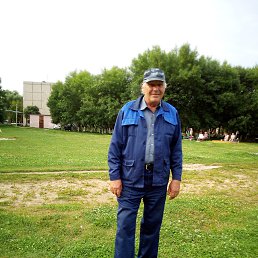 �������, ������, 79 ���