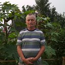  , -, 68  -  23  2017    