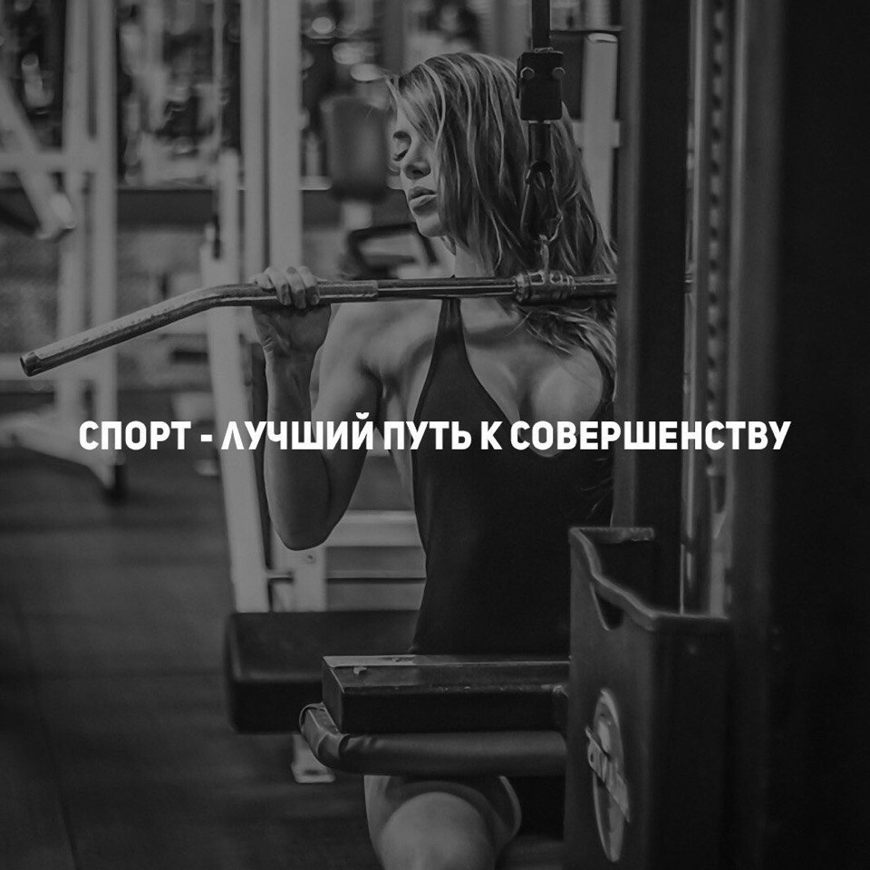 SportFeed - 6  2017  01:13