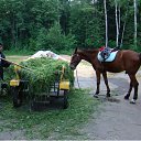 ���� �������, �����������, 62 ���� - ��������� 29 ������ 2017 � ������ ��������� -������ ����.�