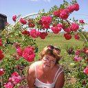 ���� �������, ��������� - ��������� 7 ������� 2017 � ������ ���� ����������