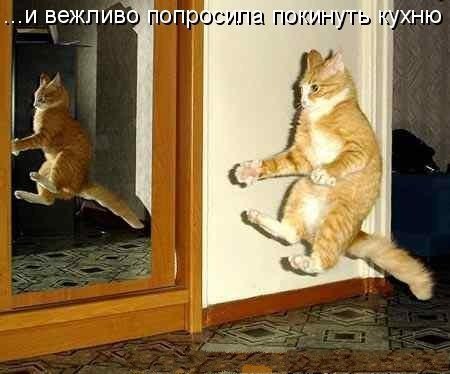 � ����� �����! - 22 ������� 2017 � 13:06