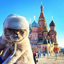 ���� �������, ������ - ��������� 7 ������� 2017 � ������ ��������