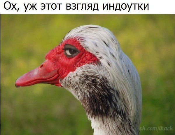  - 22  2017  09:34