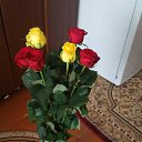 ���� ����, ����� - ��������� 1 �������� 2017 � ������ ���� ����������