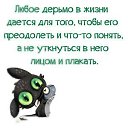  ♥♥♥♥,  -  15  2017    