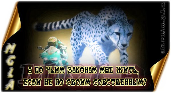 https://fotostrana.ru/public/347110/