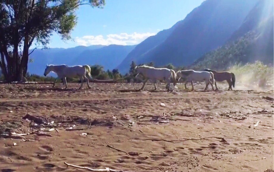 ������, �������� ��� ��������� ���� � ������ ����������� �� ����� � Wild Federation � ���� � ... - 3