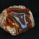 ���� ������, �����-��������� - ��������� 25 ������ 2017 � ������ �����������