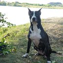 ���� �������, ���������, 55 ��� - ��������� 31 ������� 2017