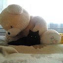 ���� ((�)), ������ - ��������� 26 ������� 2017 � ������ ���� ����������