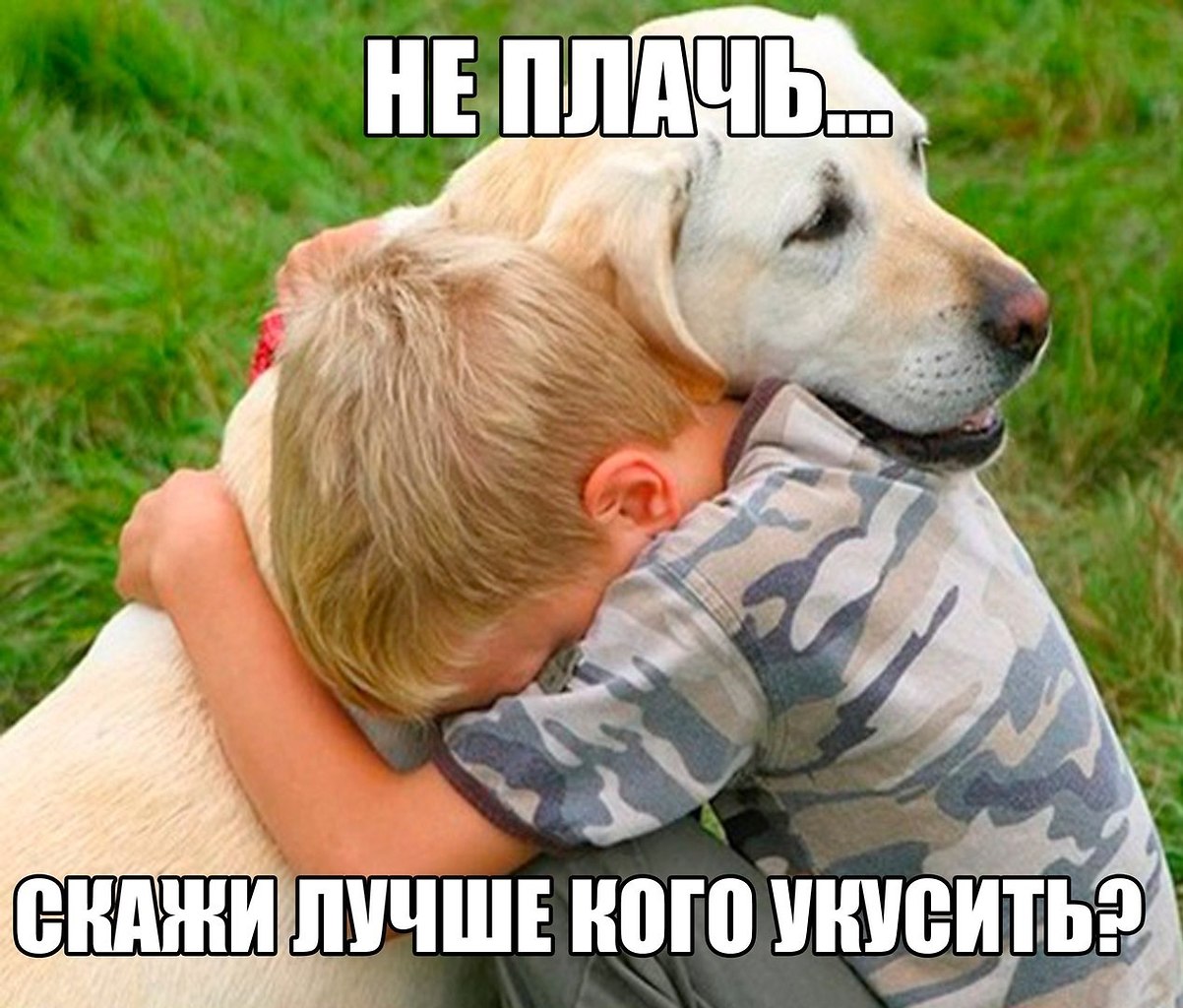 Человек и животное. Собака для детей. Животные верные друзья человека. Собака для детей. Собака для детей.