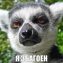 ���� ���������), ������ - ��������� 28 �������� 2017 � ������ ���� ����������