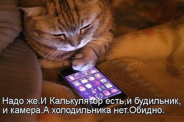  ,    -  ! - 4