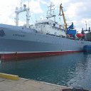  , , 51  -  29  2017    2017