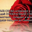 ���� ������, �����-��������� - ��������� 15 �������� 2017 � ������ ������ ��������