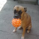 ���� ,����,, �� 105 ������, ������-��-���� - ��������� 16 ������ 2017 � ������ �������