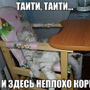���� Liliya, �������� - ��������� 9 ������� 2017 � ������ ������������ ����� ������