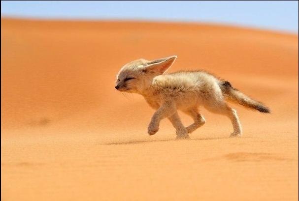  ,  ,.     -   !!!,  , ...