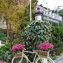  , , 60  -  24  2017    -,18,21.10.17.