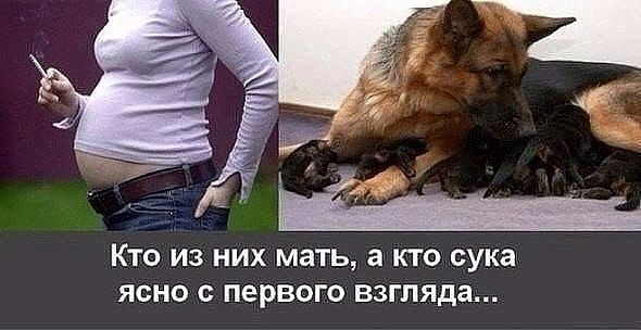  - ,  - 25  2017  10:57