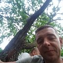 ���� �������, �������, 38 ��� - ��������� 8 �������� 2017 � ������ ��� ������