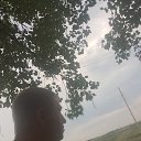 ���� �����, ��������, 43 ���� - ��������� 23 ���� 2017