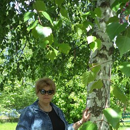 Svetlana, �������, 61 ���