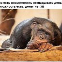 ���� �������, ����������, 46 ��� - ��������� 24 ������� 2017 � ������ ������ ��������