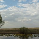  , , 36  -  3  2017    ( 2017)