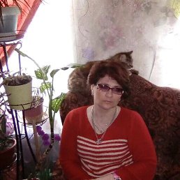 , 50, 