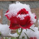 ���� �������, ������������ - ��������� 27 ������� 2017 � ������ ���� ����������