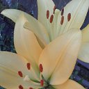 ���� ������, ������ - ��������� 22 ������� 2017 � ������ ���� �������!!!�